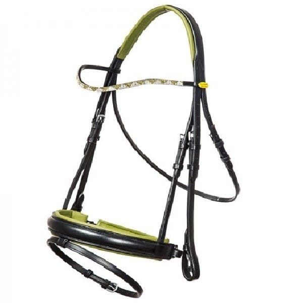 ogłowie Raibow Kavalkade z zielonym podszyciem