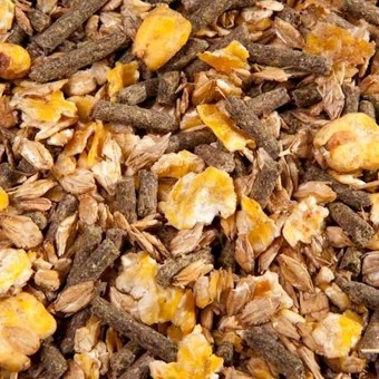 eggersman EMH Cool Musli, pasza bez owsowa 20kg