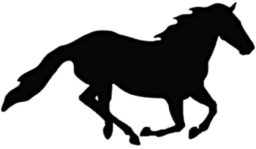 NAKLEJKA-SAMOCHODOWA-NA-SAMOCHOD-KON-KONIE-GALOP