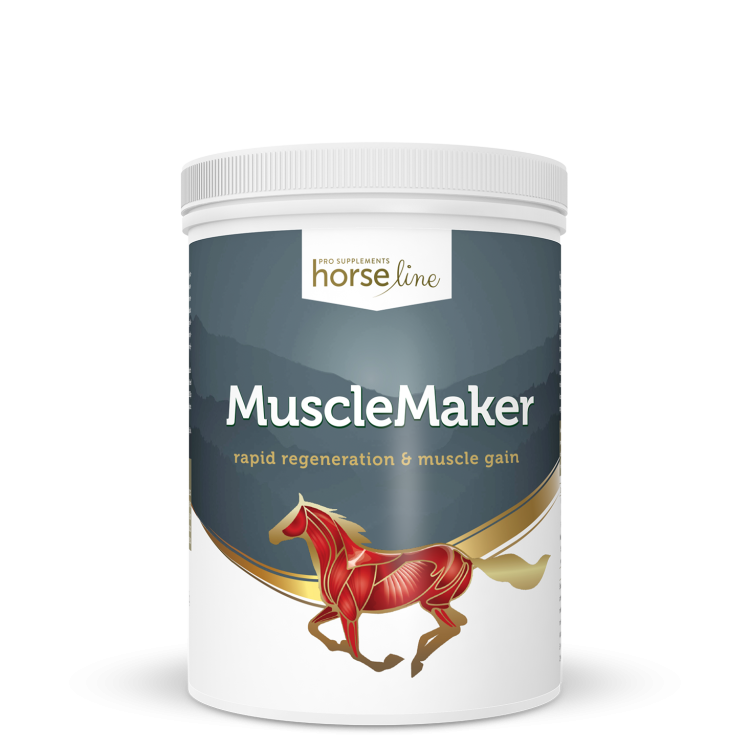 HorseLine-MuscleMaker.png