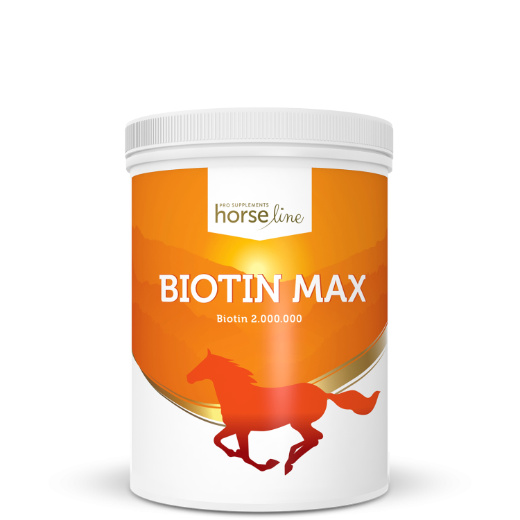 HorseLine-BiotinMax-1.png