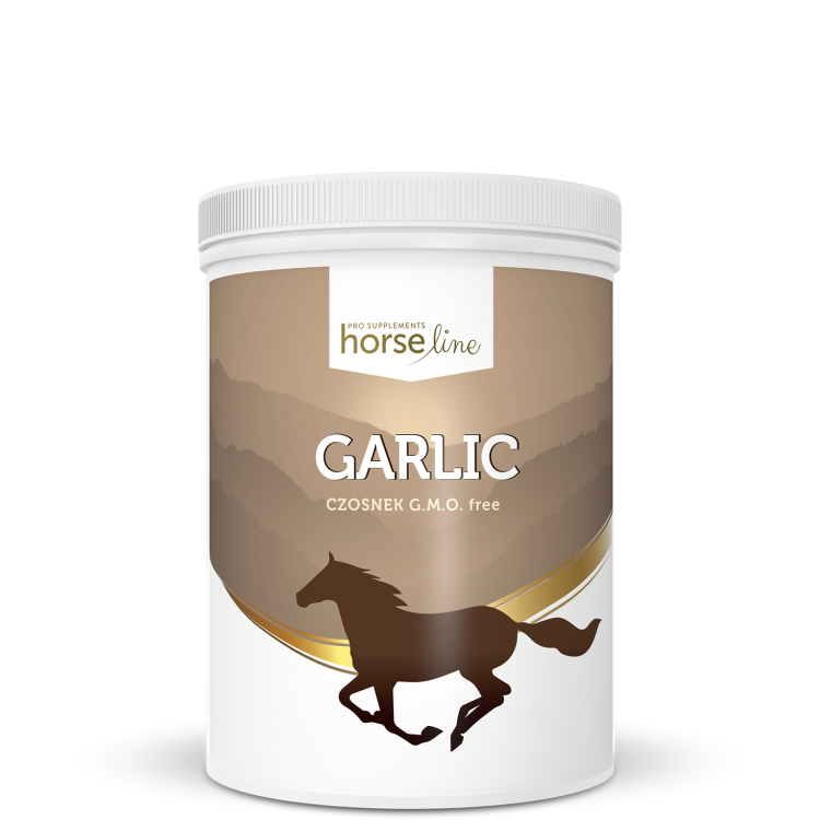 HorseLine-Czosnek-1.png
