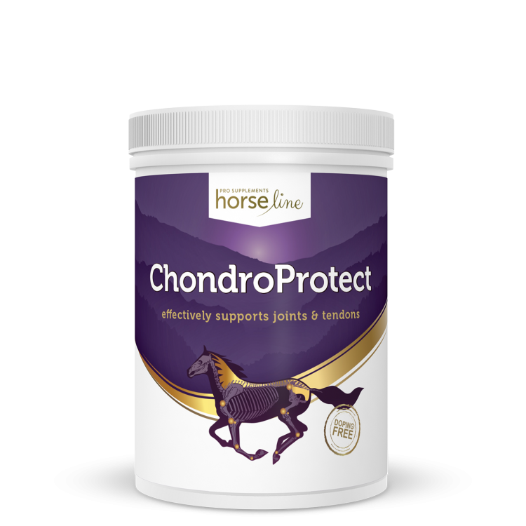 HorseLine-ChondroProtect.png