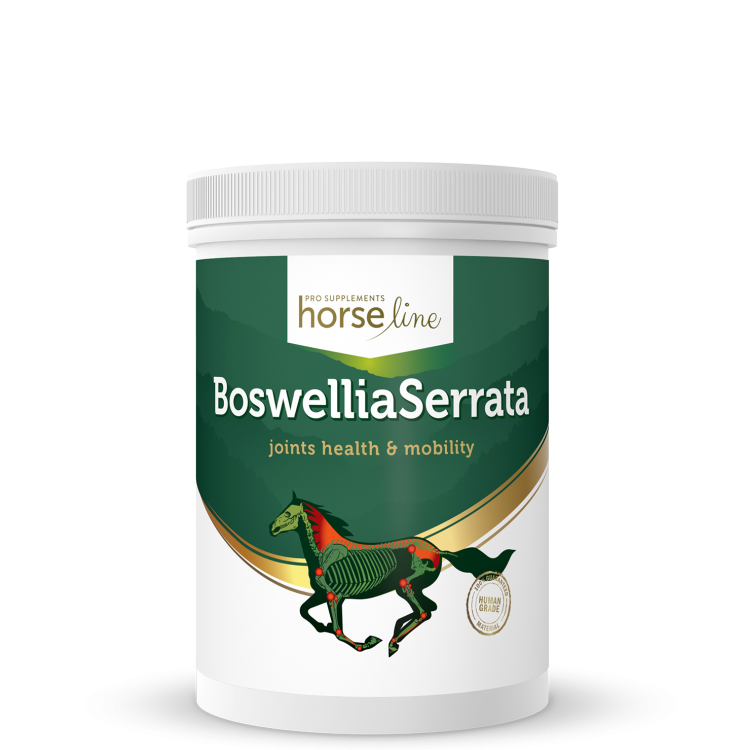 HorseLine-BoswelliaSeratta.png