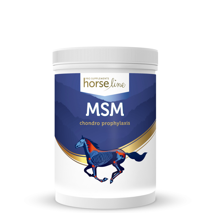 HorseLine-MSM-2.png
