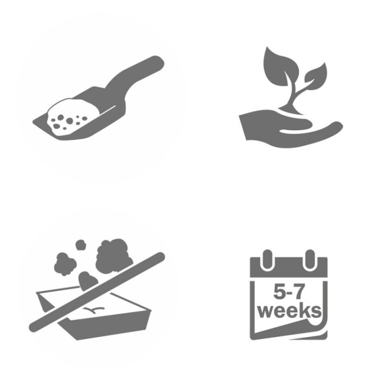 3187_catsbest_original_icon_1.jpg