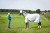 derka_HZSUM2012_BS_087_2BE1097_24808.jpg
