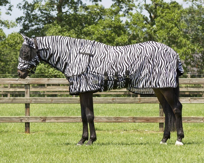 derka-siatkowa-zebra-QHP-6013ze_4.jpg