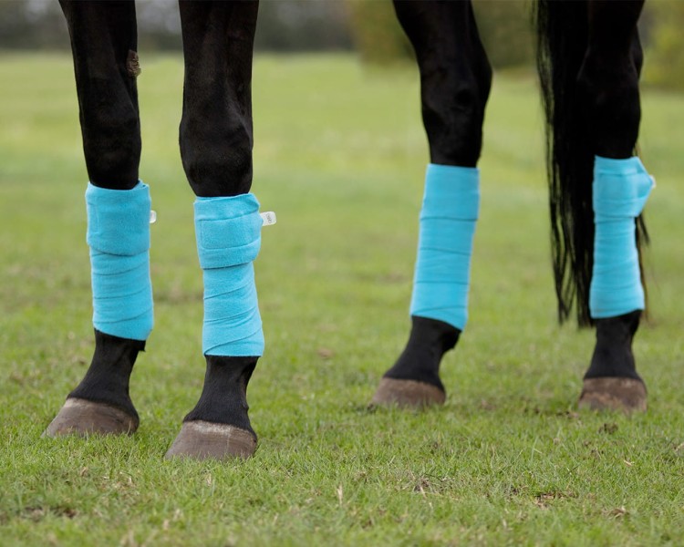 bandaże-polarowe-dla-konia-QHP-4029sk-1_1.jpg
