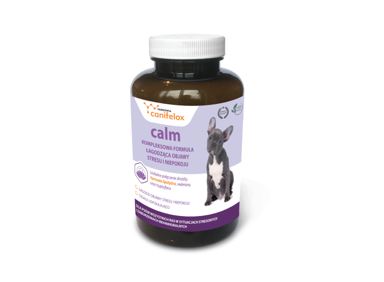 calm_dog_packshot-1.png