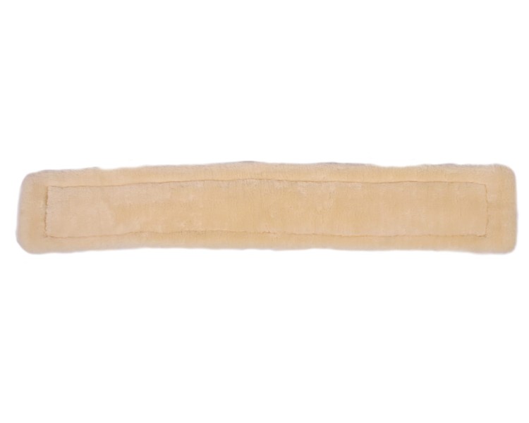 3146zw-1_1.jpg