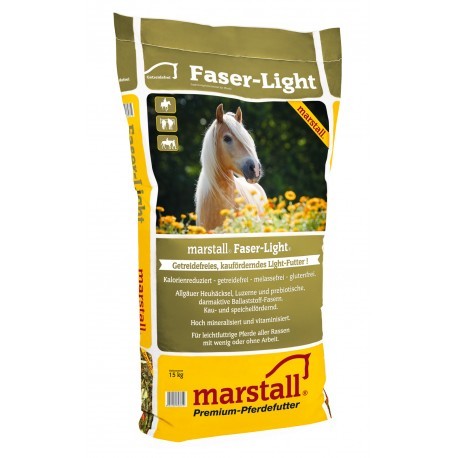faser-light.jpg