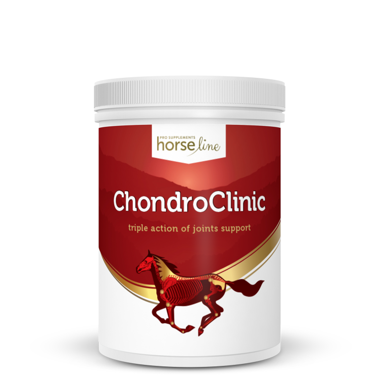 Horseline - ChondroClinic.png