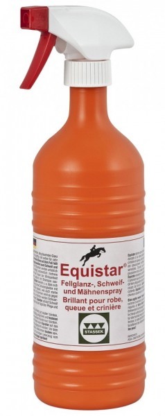 Stassek Equistar.jpg