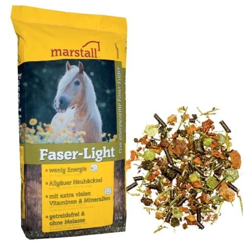 Faser-Light.jpg