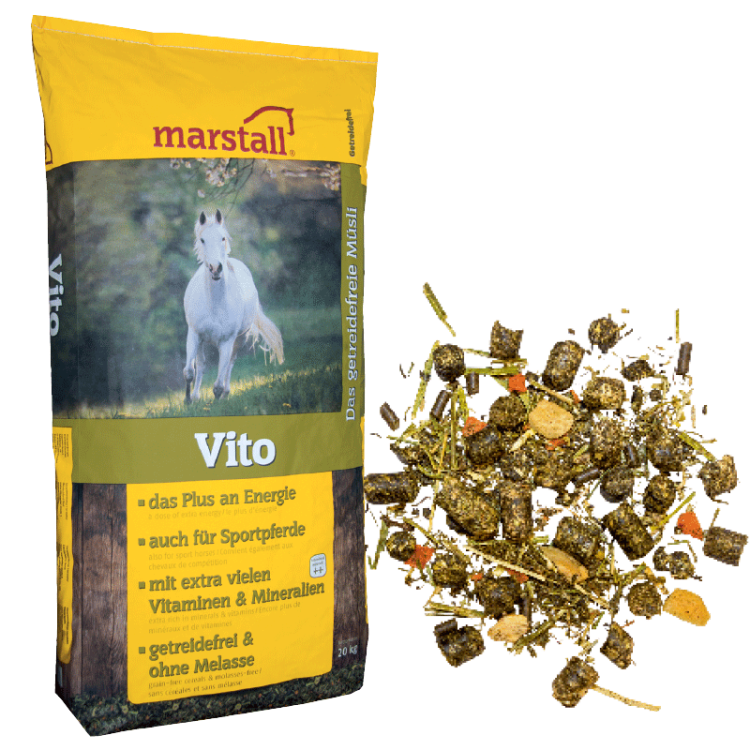 Vito.png