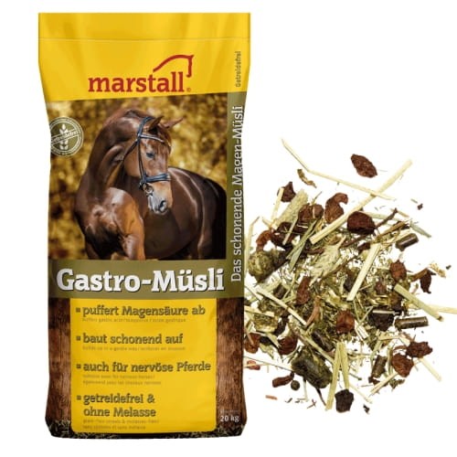 Gastro-Musli.jpg