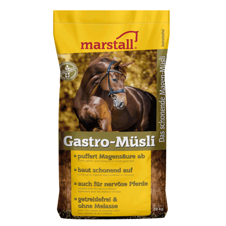 Gastro-Musli.png