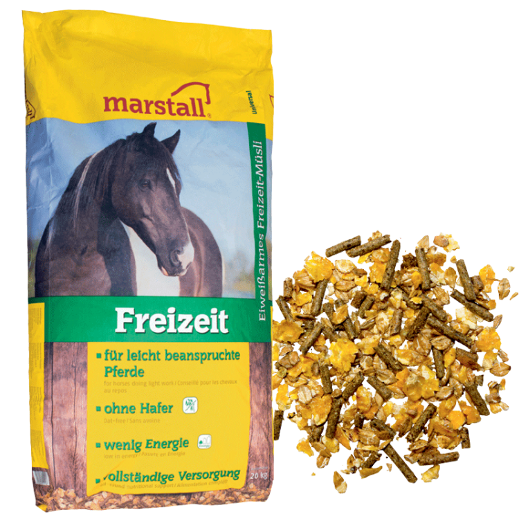 Freizeit.png