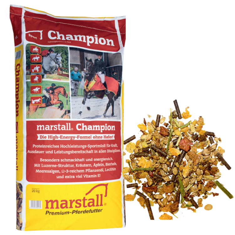 Champion.png