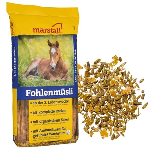 Fohlenmusli.jpg