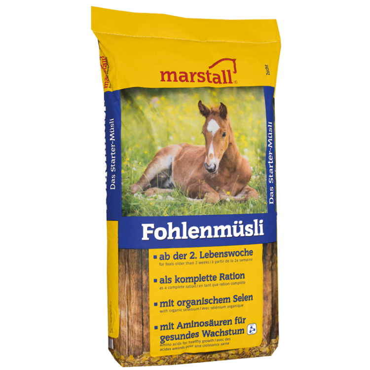Fohlenmusli1.png