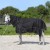 derka_padokowa_horsenjoy_aspen_czarna_51505_0.jpg