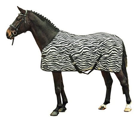 hkm zebra 1.jpg