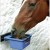 big_horslyx-pojemnik3.jpg