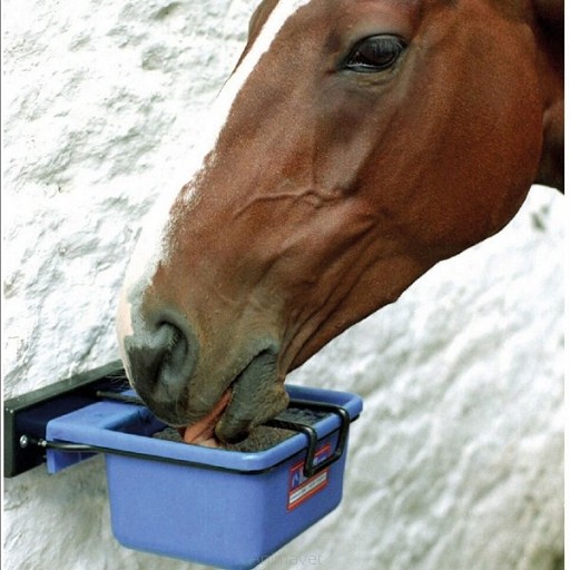 big_horslyx-pojemnik3.jpg