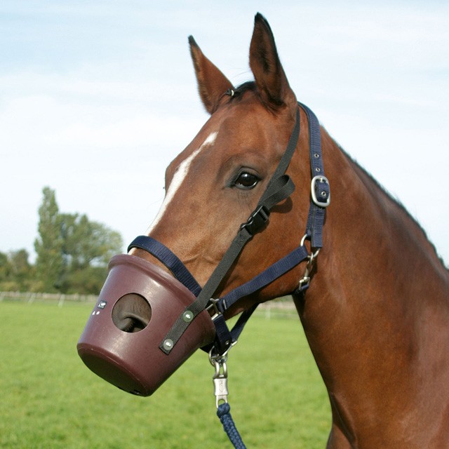 kaganiec dla konia pelny.jpg