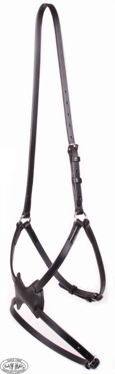 daw-mag meksykański.jpg