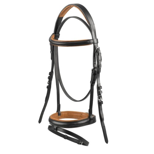 start simplecolor.jpg